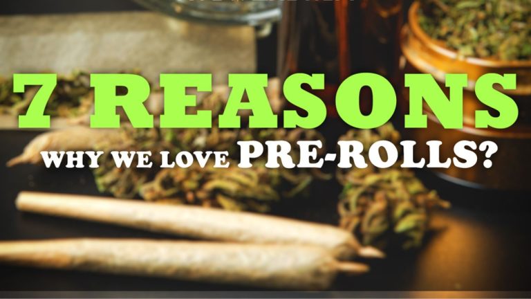 Reasons Why We Love Pre-Rolls